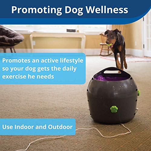 PetSafe Automatic Dog Toy, Interactive Tennis Ball Launcher for Dogs, Water Resistant, 1 Pack - Image 7