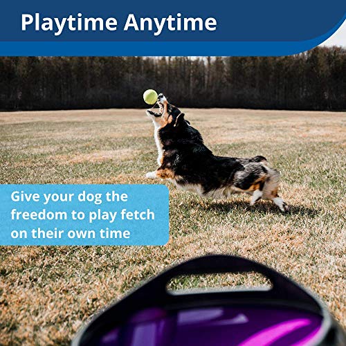 PetSafe Automatic Dog Toy, Interactive Tennis Ball Launcher for Dogs, Water Resistant, 1 Pack - Image 8