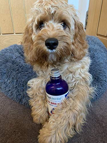 Petdentist Natural Dog Dental Care Fresh Breath Water Additive - Plaque Off Tartar Remover for Dogs Teeth Cleaning Oral Hygiene Freshener - Best for Bad Cat Dog Breath and Gum Health - 500ml - Image 3