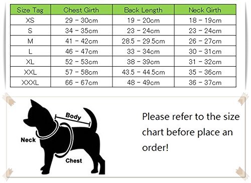 Petitebelle England Cross Puppy Dog Shirt - Image 3