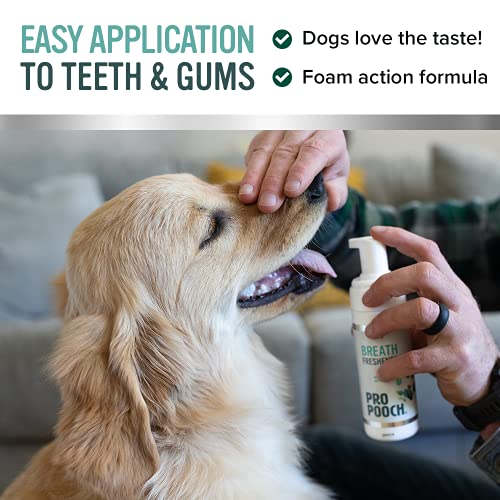 Pro Pooch Dog Breath Freshener - Combat Bad Breath, Tartar & Plaque Build Up w/Dog Mouthwash - Fresh Breath & Safe Oral Hygiene for Your Pooch or Cat - Image 4