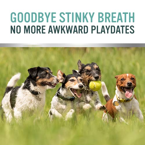Pro Pooch Dog Breath Freshener - Combat Bad Breath, Tartar & Plaque Build Up w/Dog Mouthwash - Fresh Breath & Safe Oral Hygiene for Your Pooch or Cat - Image 6