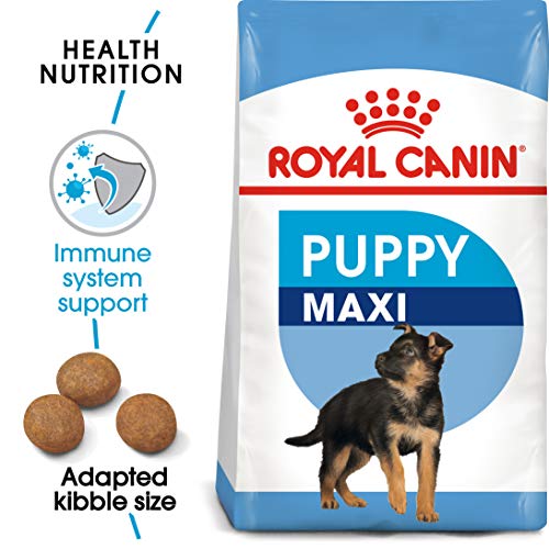 Royal Canin Maxi Puppy 4 kg - Image 3