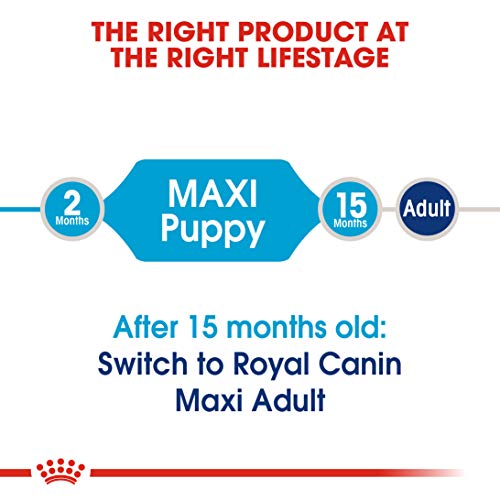 Royal Canin Maxi Puppy 4 kg - Image 4
