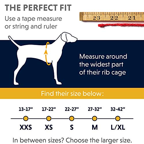 Ruffwear All-Day Dog Front Range Harness - Image 3