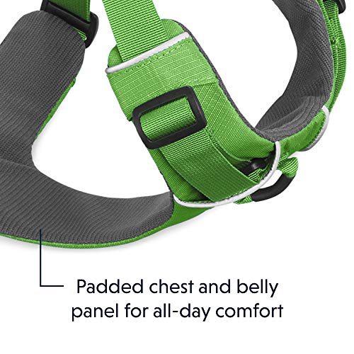 Ruffwear All-Day Dog Front Range Harness - Image 6