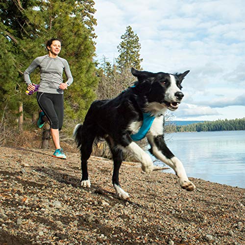 Ruffwear All-Day Dog Front Range Harness - Image 8