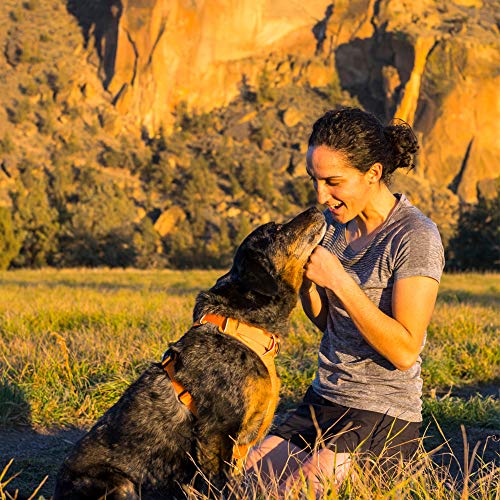 Ruffwear All-Day Dog Front Range Harness - Image 10