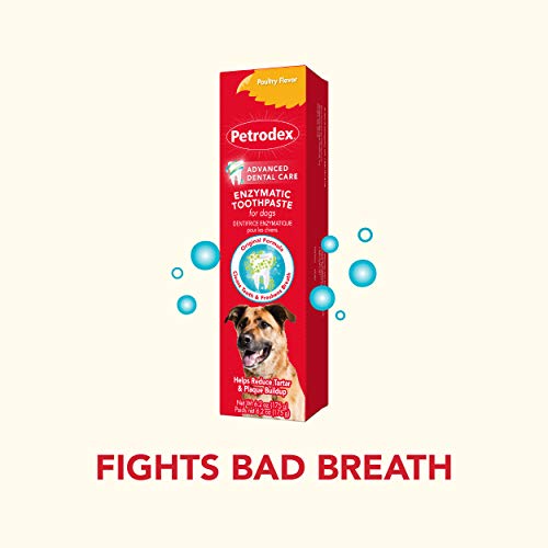 Sentry Pet Care Enzymatic Dog Toothpaste 6.2oz Tube - Image 4