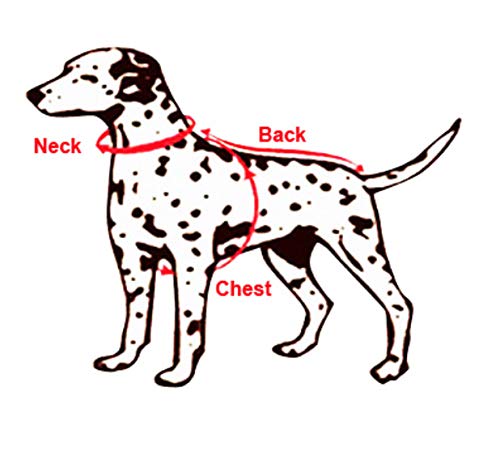 Trend68 Dog Football T-Shirt, National Soccer World Cup, FIFA Jersey for Pet - Image 8