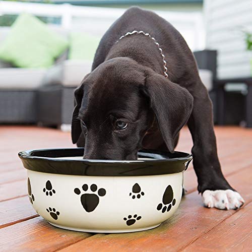 Vet's Best Dental Breath Freshener for Dogs - Image 5