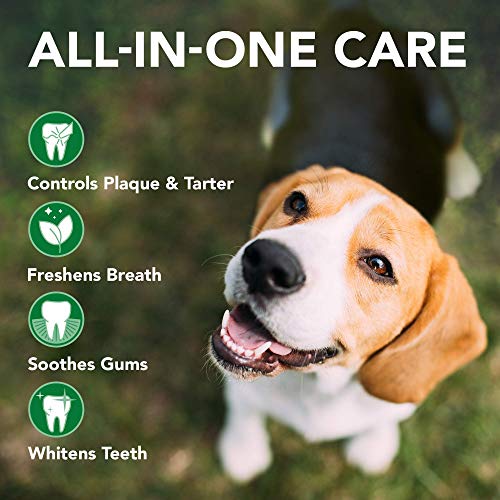 Vet's Best Dental Gel Toothpaste and Toothbrush Kit for Dogs - Image 5