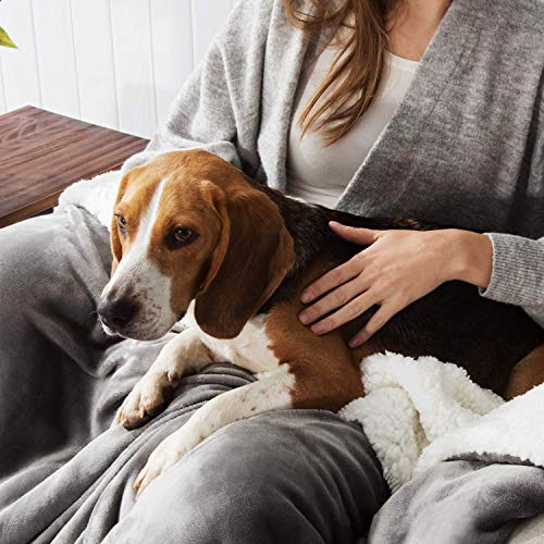 furrybaby Waterproof Dog Blanket, Fluffy Pee Proof pet Blanket for Couch Bed Protection Washable Reversible Pet Fleece Sherpa Throw Blanket Furniture Protector Grey(76×127cm) - Image 7