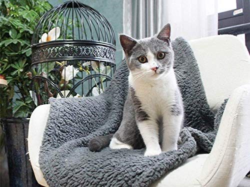furrybaby Premium Fluffy Fleece Dog Blanket, Soft and Warm Pet Throw for Dogs & Cats Grey (Small (60x80cm)) - Image 5