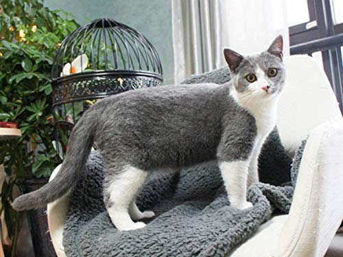 furrybaby Premium Fluffy Fleece Dog Blanket, Soft and Warm Pet Throw for Dogs & Cats Grey (Small (60x80cm)) - Image 6