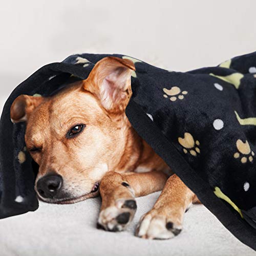softan Dog Blanket | Fluffy Pet Blanket for Small Medium Large Dog | Washable Puppy Blanket | Soft and Warm Flannel Fleece Throw | 60×80cm, Black - Image 6