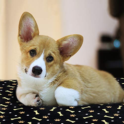 softan Dog Blanket | Fluffy Pet Blanket for Small Medium Large Dog | Washable Puppy Blanket | Soft and Warm Flannel Fleece Throw | 60×80cm, Black - Image 7