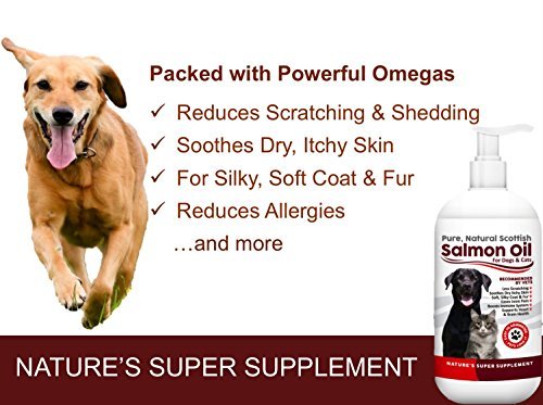 100% Pure, Natural Scottish Salmon Oil For Dogs, Cats, Horses and Pets. Omega 3, 6 & 9 Supplement For Skin, Coat, Joint, Heart & Brain Health. Results in 30 Days or Your Money Back - Image 3