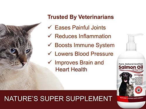 100% Pure, Natural Scottish Salmon Oil For Dogs, Cats, Horses and Pets. Omega 3, 6 & 9 Supplement For Skin, Coat, Joint, Heart & Brain Health. Results in 30 Days or Your Money Back - Image 4