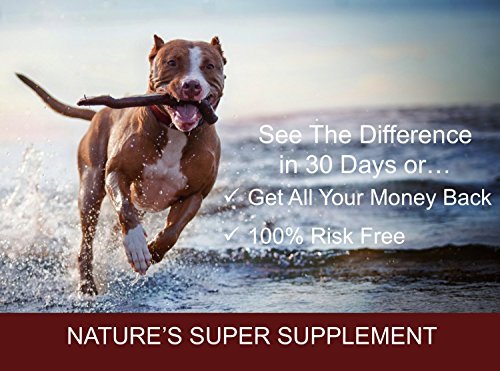 100% Pure, Natural Scottish Salmon Oil For Dogs, Cats, Horses and Pets. Omega 3, 6 & 9 Supplement For Skin, Coat, Joint, Heart & Brain Health. Results in 30 Days or Your Money Back - Image 5