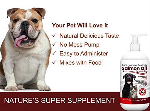 100% Pure, Natural Scottish Salmon Oil For Dogs, Cats, Horses and Pets. Omega 3, 6 & 9 Supplement For Skin, Coat, Joint, Heart & Brain Health. Results in 30 Days or Your Money Back - Image 6