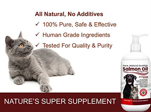 100% Pure, Natural Scottish Salmon Oil For Dogs, Cats, Horses and Pets. Omega 3, 6 & 9 Supplement For Skin, Coat, Joint, Heart & Brain Health. Results in 30 Days or Your Money Back - Image 7