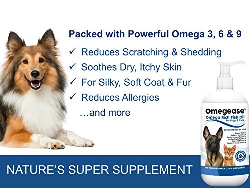 100% Pure Omega 3, 6 & 9 Fish Oil for Dogs and Cats - Best For Skin, Coat, Joint, Heart & Brain Health. Soothes Itches. From Wild Caught Fish - Better Source of DHA & EPA Than Farmed Scottish Salmon Oil. - Image 3