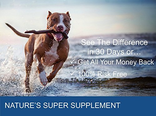 100% Pure Omega 3, 6 & 9 Fish Oil for Dogs and Cats - Best For Skin, Coat, Joint, Heart & Brain Health. Soothes Itches. From Wild Caught Fish - Better Source of DHA & EPA Than Farmed Scottish Salmon Oil. - Image 4