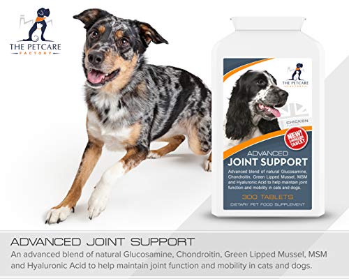 Advanced Joint Support Supplement For Dogs, With Powerful Active Ingredients To Help Naturally Support and Maintain Joint Health, Human Grade Quality, 300 Tablets, UK Manufactured - Image 4