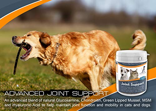Advanced Joint Support Supplement Powder For Cats & Dogs, With Powerful Glucosamine, Chondroitin, Green Lipped Mussel, MSM, Curcumin & Hyaluronic Acid, Human Grade Ingredients, UK Manufactured - Image 5