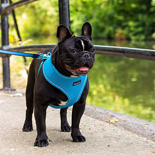 AllPetSolutions Dog Puppy Harness Soft Adjustable Reflective Comfortable Vest - Image 4