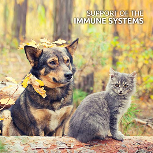 AniForte MultiVitamin MultiVETAL Powder 100g: Natural Vitamin Supplement for Dogs & Cats - Contains 13 Vitamins & 11 Minerals, Including Vitamin B Complex, B1, B2,B5, B6, B12, A, C, D, E, K, Omega 3 - Image 6