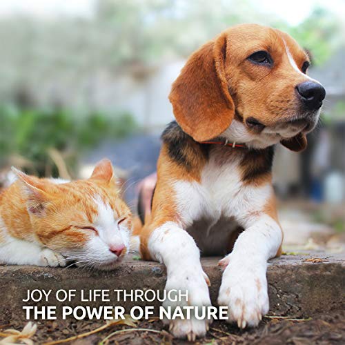 AniForte MultiVitamin MultiVETAL Powder 100g: Natural Vitamin Supplement for Dogs & Cats - Contains 13 Vitamins & 11 Minerals, Including Vitamin B Complex, B1, B2,B5, B6, B12, A, C, D, E, K, Omega 3 - Image 7