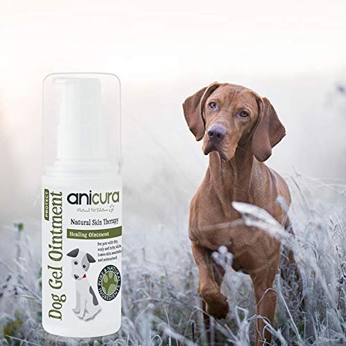 Anicura Natural Dog Gel Ointment for dry & itchy skin, hot spots, eczema & skin allergies - Image 5