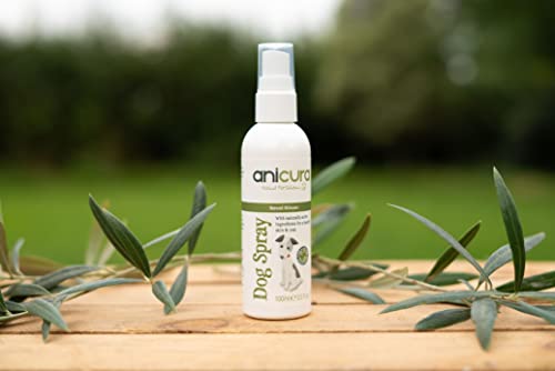 Anicura Natural Dog Spray for dry & itchy skin, eczema, dermatitis & skin allergies - Image 5