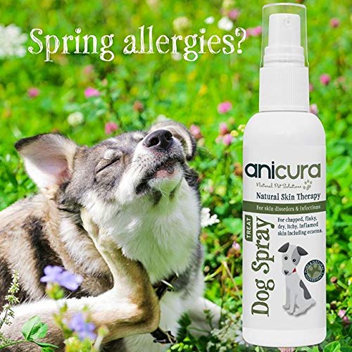 Anicura Natural Dog Spray for dry & itchy skin, eczema, dermatitis & skin allergies - Image 6