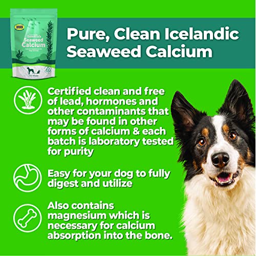 Animal Essentials Seaweed Calcium - Image 4