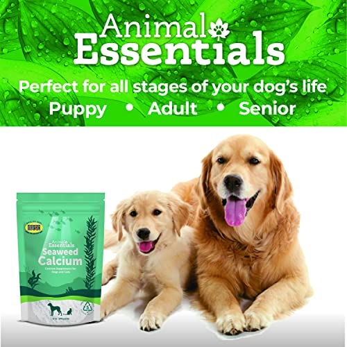 Animal Essentials Seaweed Calcium - Image 7