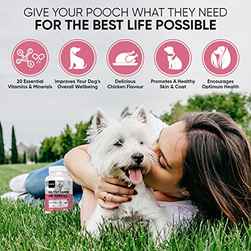 Animigo Multivitamins for Dogs & Cats - With 18 Vitamins & Minerals - 365 Chicken-Flavoured Tablets - Dog Vitamins and Supplements for Natural Immunity, Skin, Coat, Muscles & Joints for All Ages - Image 3