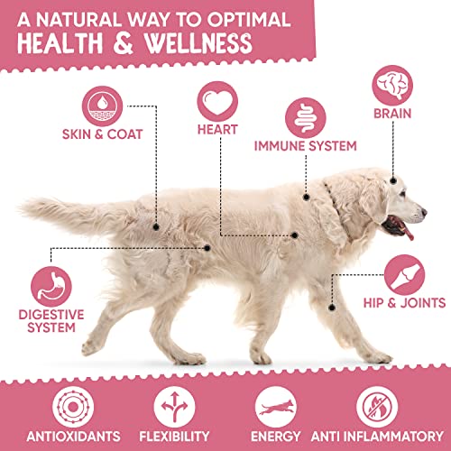 Animigo Multivitamins for Dogs & Cats - With 18 Vitamins & Minerals - 365 Chicken-Flavoured Tablets - Dog Vitamins and Supplements for Natural Immunity, Skin, Coat, Muscles & Joints for All Ages - Image 4