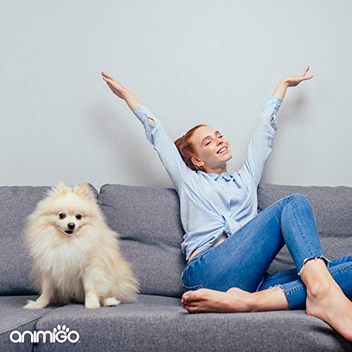 Anti Chew Spray Bottle - 236ml - Stop Chewing Pet Corrector Spray For Dogs & Cats, Stain Free Spray - Image 6