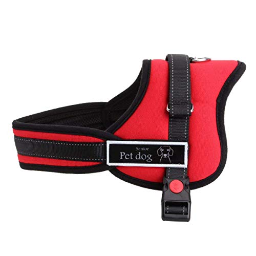 Aulola Soft Padded Dog Harness Adjustable No Pull Walking Training Assistance Chest - Image 4