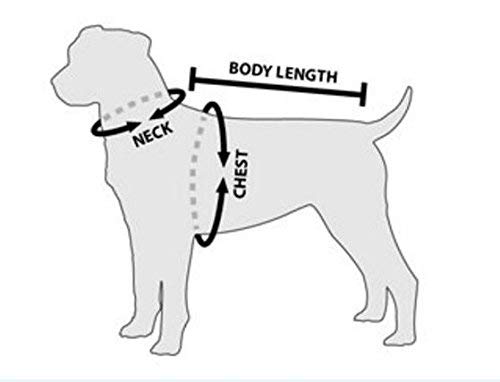 Aulola Soft Padded Dog Harness Adjustable No Pull Walking Training Assistance Chest - Image 7