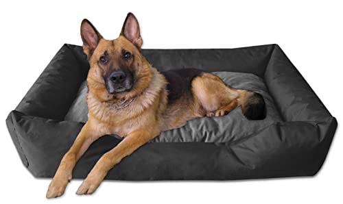 BedDog® MIMI Bed for a dog S till XXXL, 26 colours to choose, warm cushion, pillow, sofa, basket for a dog - Image 5