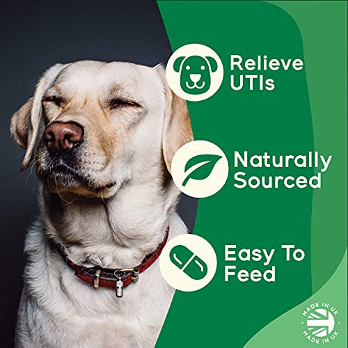 Bladder Support For Dogs and Cats - UTI Treatment - Urinary Tract Infection and Cystitis Relief - D-Mannose and Cranberry Tablets for Dogs -UTI Treatment for Cats - 120 Chicken Flavour Tablets - Image 6