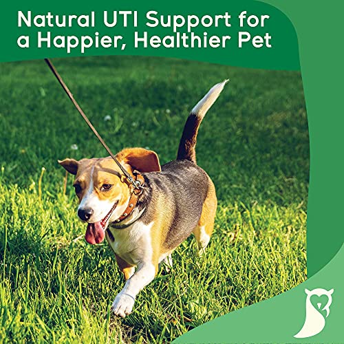Bladder Support For Dogs and Cats - UTI Treatment - Urinary Tract Infection and Cystitis Relief - D-Mannose and Cranberry Tablets for Dogs -UTI Treatment for Cats - 120 Chicken Flavour Tablets - Image 7