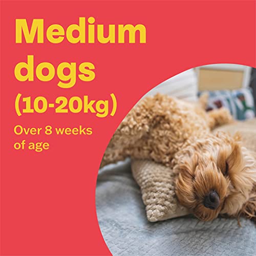 Bob Martin Flea & Tick Clear Fipronil Spot-on for Large Dog - Image 5