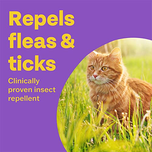 Bob Martin Flea & Tick Clear Fipronil Spot-on for Large Dog - Image 7