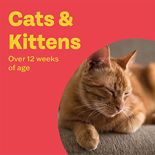 Bob Martin Flea & Tick Clear Fipronil Spot-on for Large Dog - Image 8