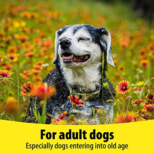 Bob Martin Vetzyme High Strength Flexible Joint, 30 Tablets - Image 5